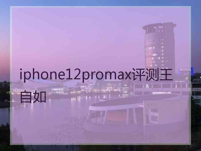 iphone12promax评测王自如
