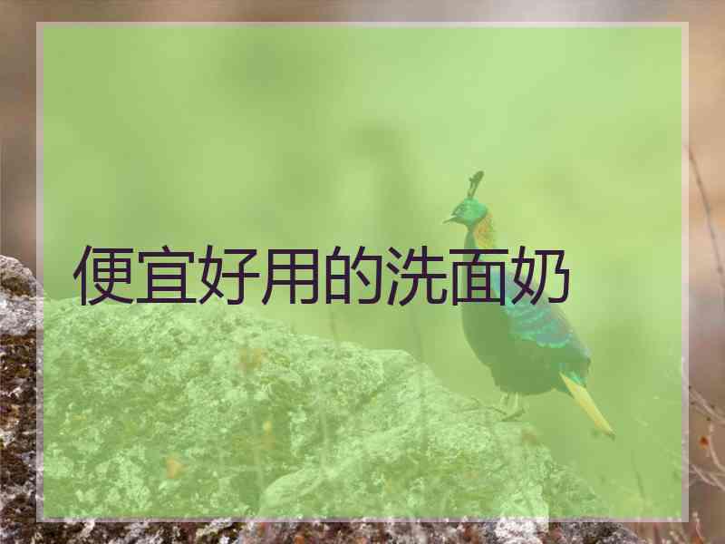 便宜好用的洗面奶
