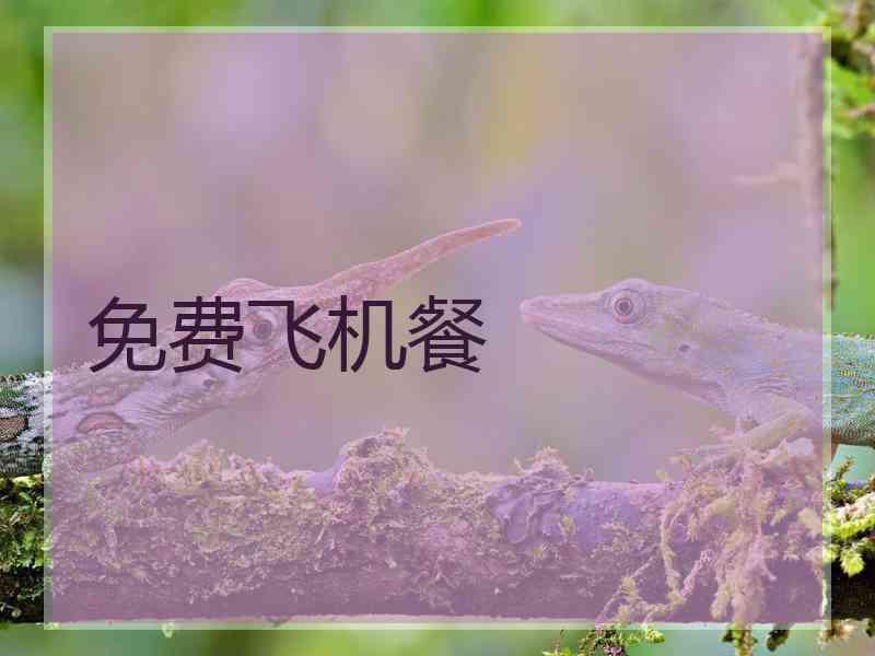 免费飞机餐