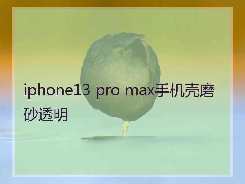 iphone13 pro max手机壳磨砂透明
