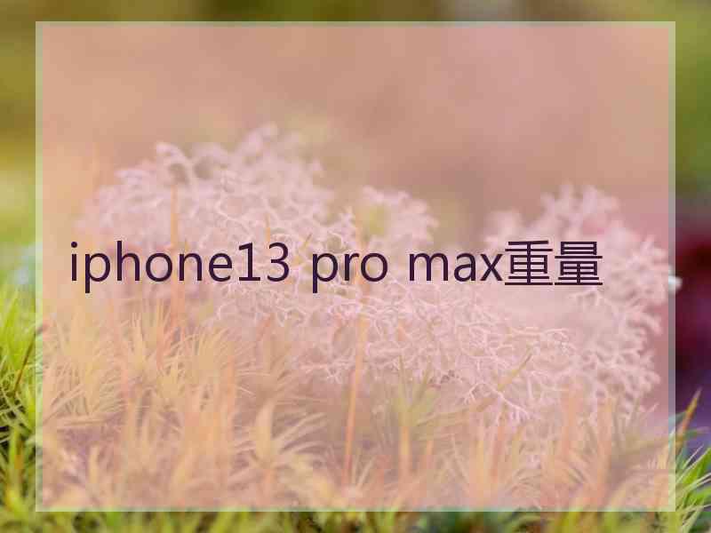 iphone13 pro max重量