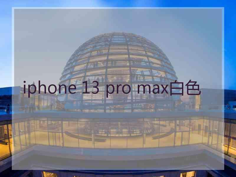 iphone 13 pro max白色