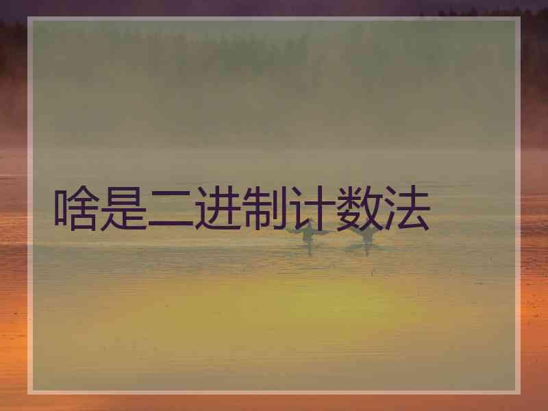 啥是二进制计数法