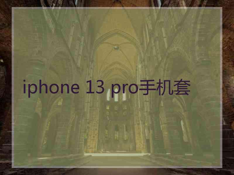 iphone 13 pro手机套