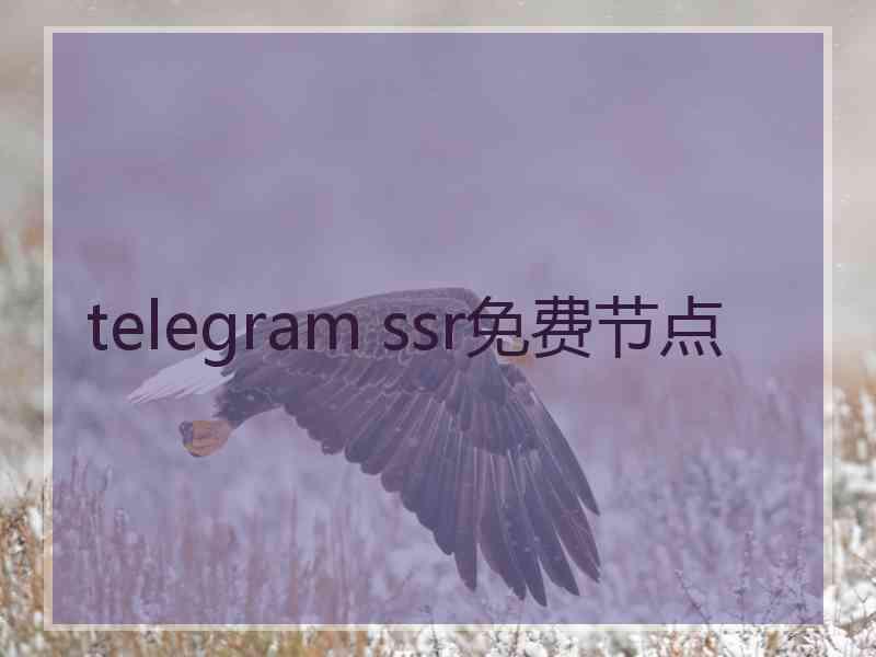 telegram ssr免费节点