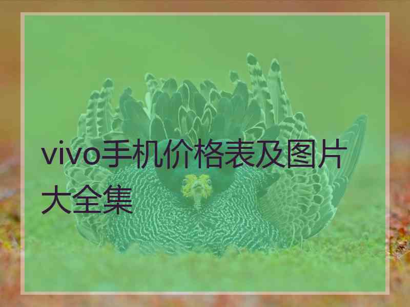 vivo手机价格表及图片大全集