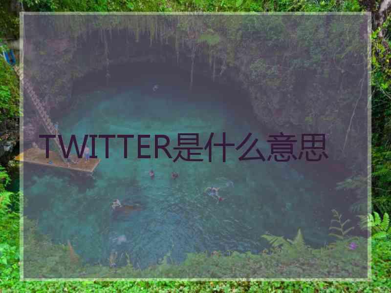 TWITTER是什么意思