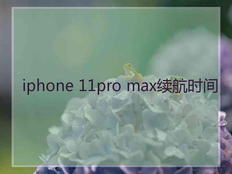 iphone 11pro max续航时间