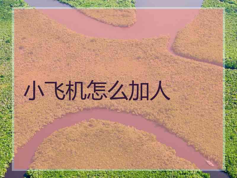 小飞机怎么加人
