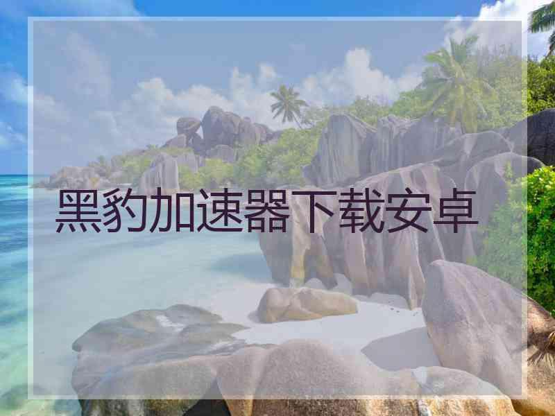黑豹加速器下载安卓