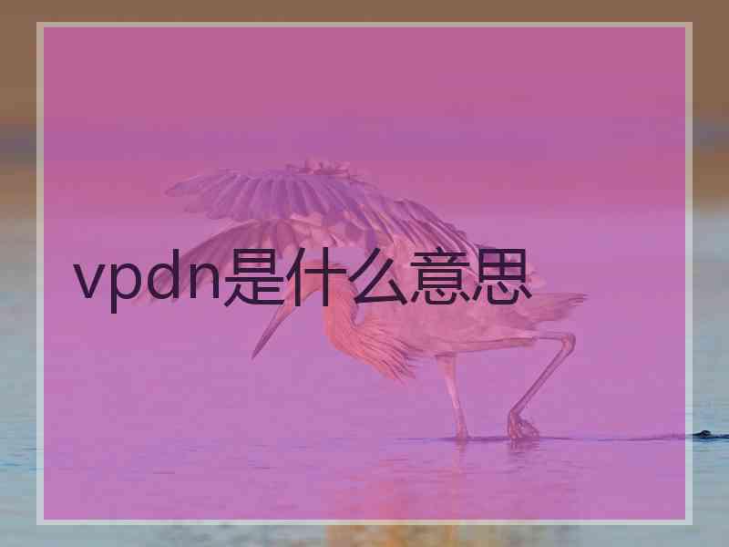 vpdn是什么意思