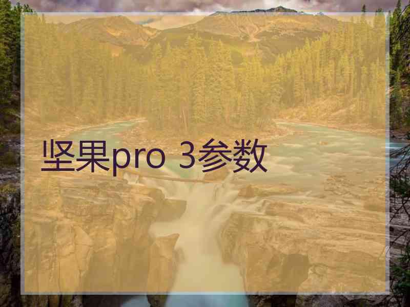 坚果pro 3参数