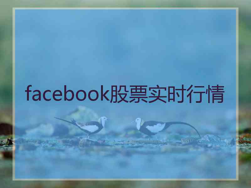 facebook股票实时行情