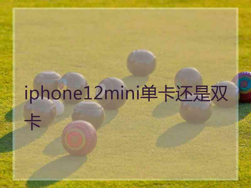 iphone12mini单卡还是双卡
