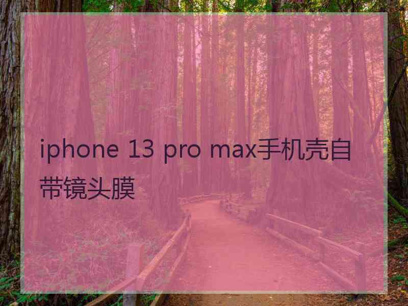 iphone 13 pro max手机壳自带镜头膜