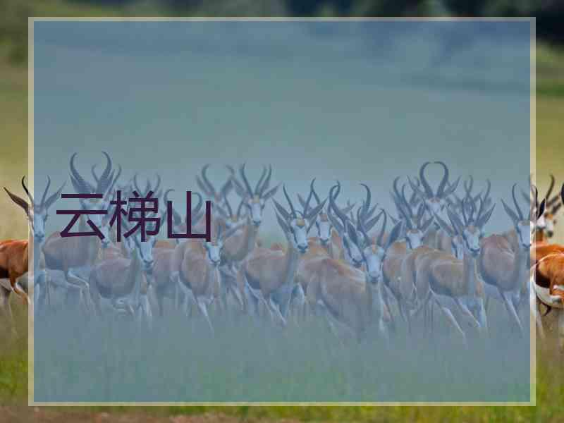 云梯山
