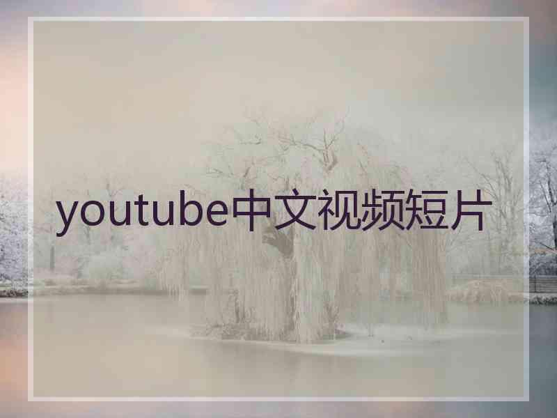youtube中文视频短片