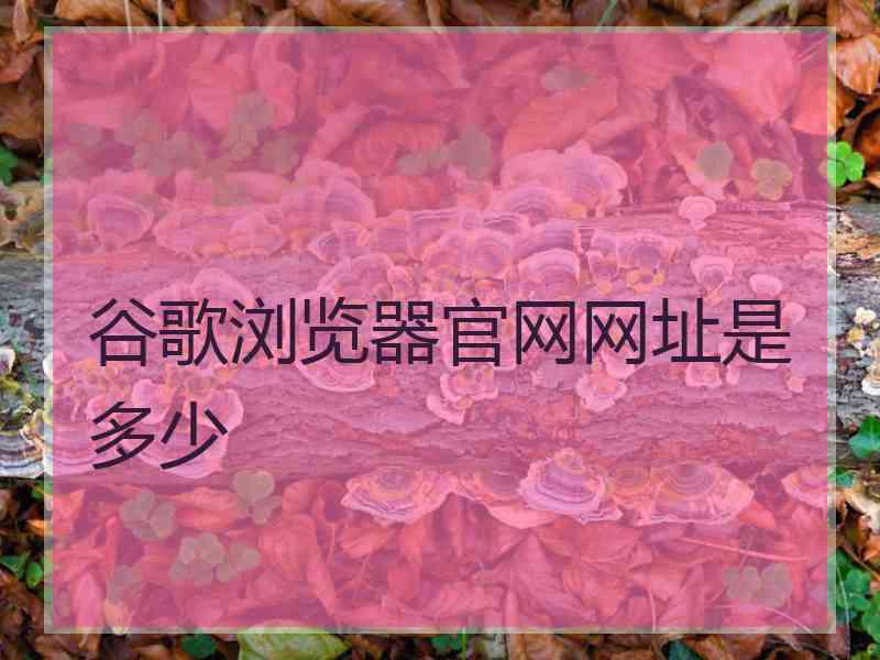 谷歌浏览器官网网址是多少