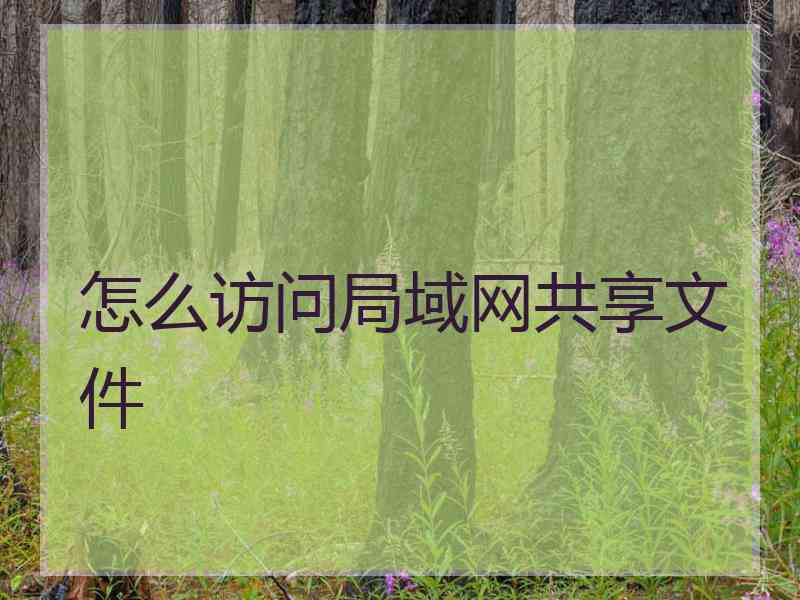 怎么访问局域网共享文件