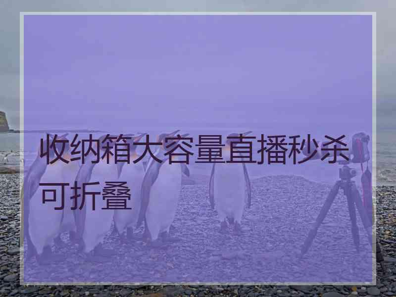 收纳箱大容量直播秒杀可折叠