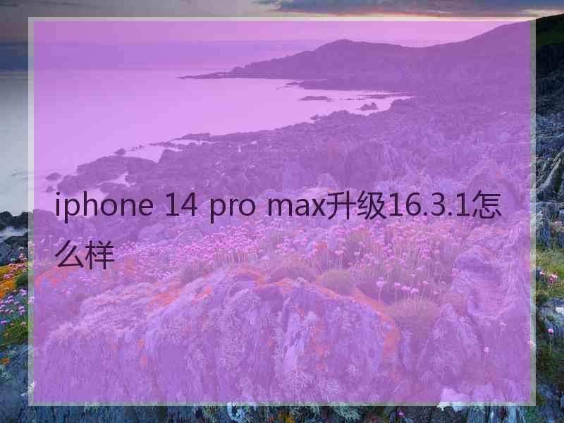 iphone 14 pro max升级16.3.1怎么样