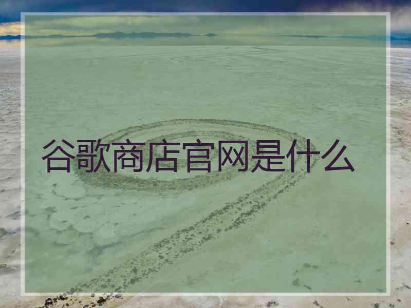 谷歌商店官网是什么