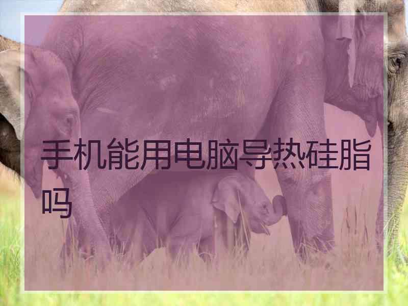 手机能用电脑导热硅脂吗