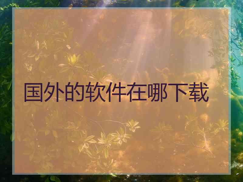 国外的软件在哪下载