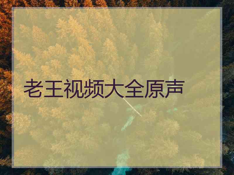 老王视频大全原声