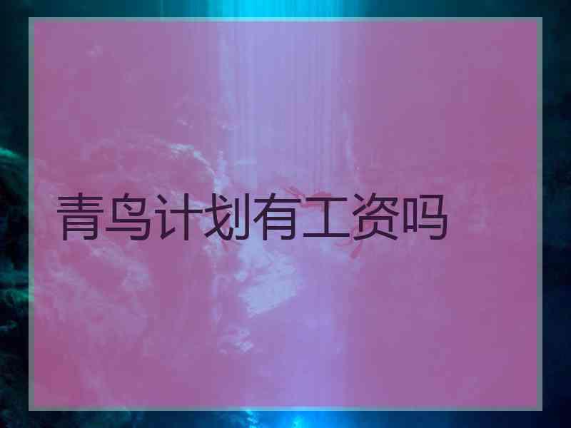 青鸟计划有工资吗