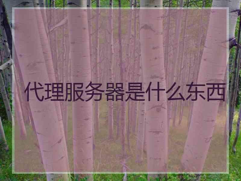 代理服务器是什么东西