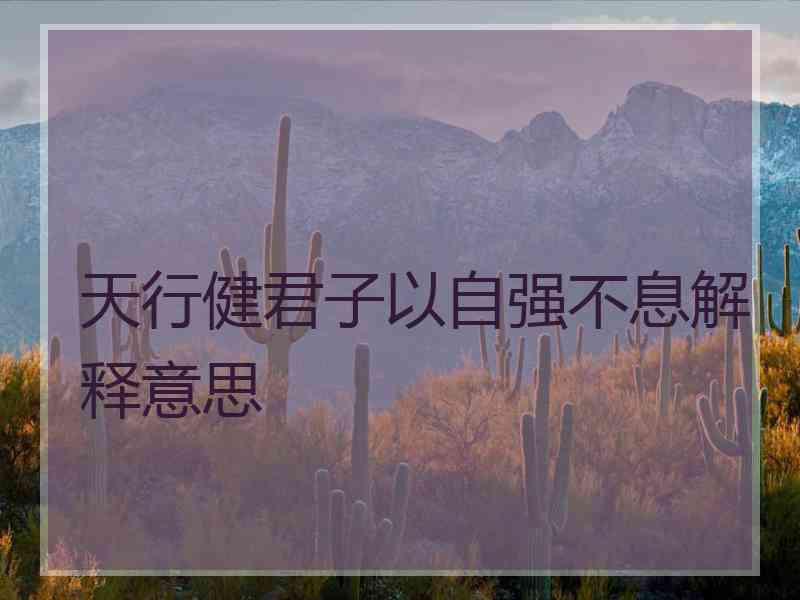 天行健君子以自强不息解释意思