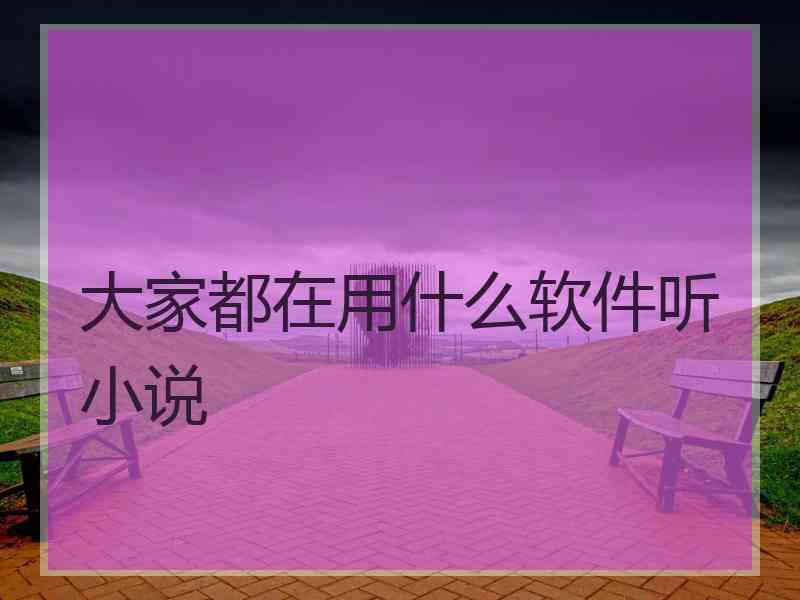 大家都在用什么软件听小说