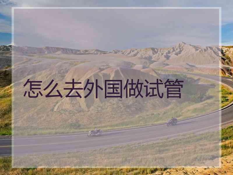 怎么去外国做试管