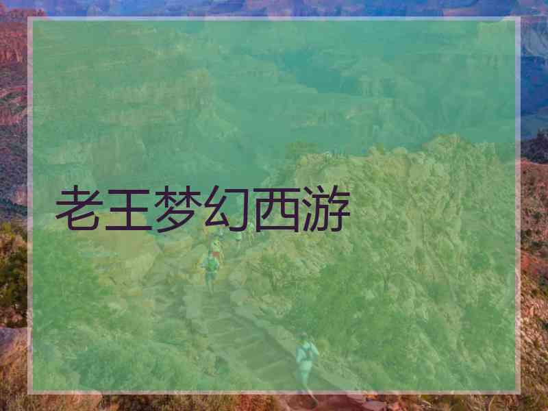 老王梦幻西游