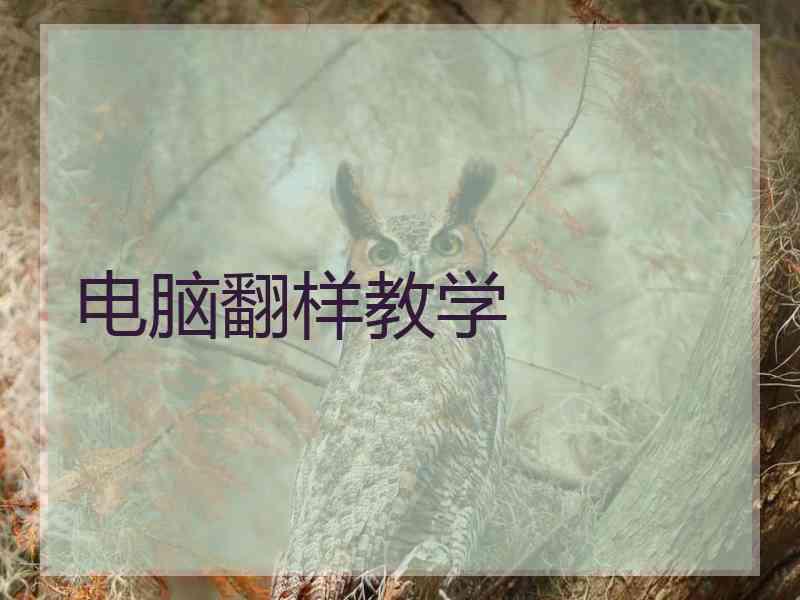电脑翻样教学