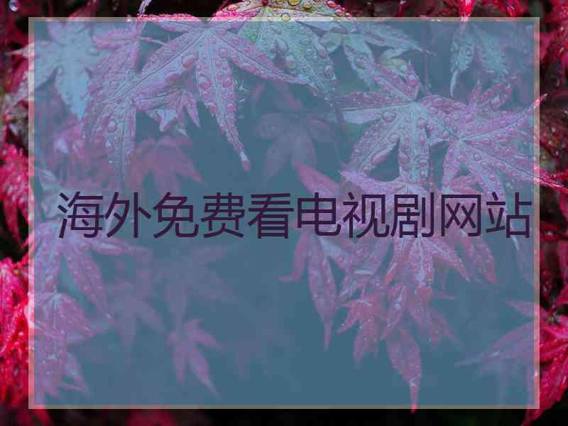 海外免费看电视剧网站