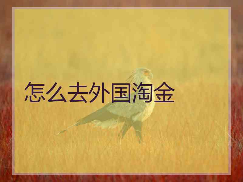 怎么去外国淘金