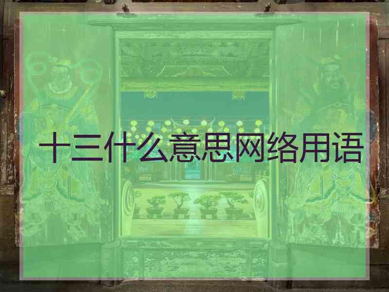 十三什么意思网络用语