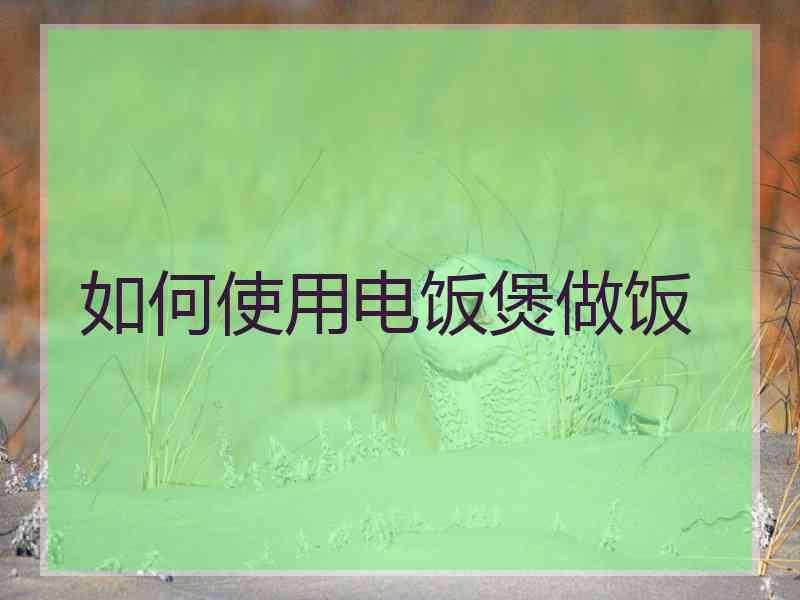 如何使用电饭煲做饭