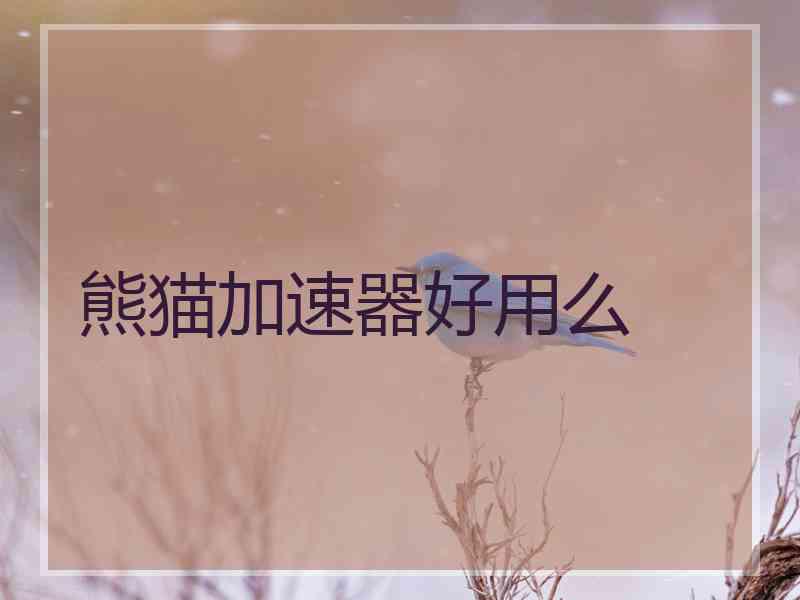 熊猫加速器好用么