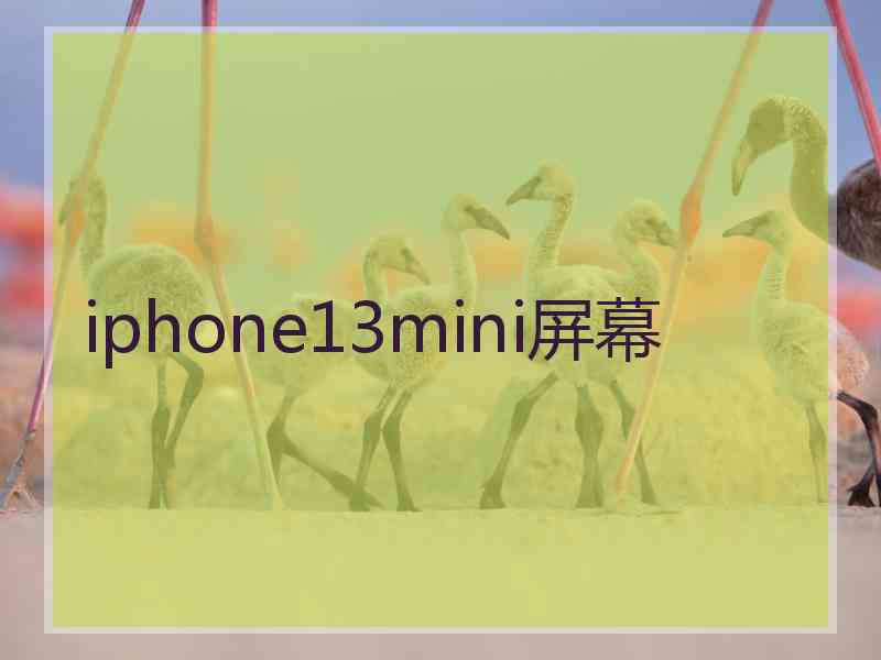 iphone13mini屏幕