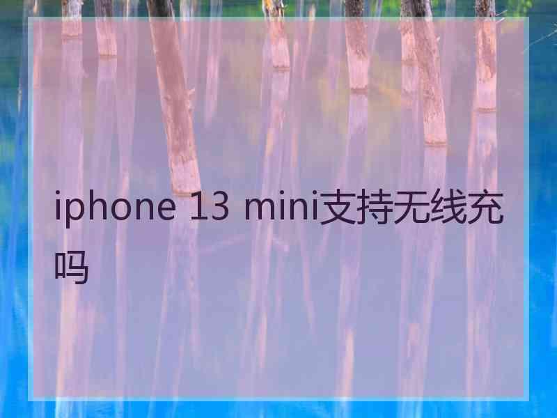 iphone 13 mini支持无线充吗
