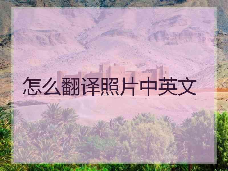 怎么翻译照片中英文