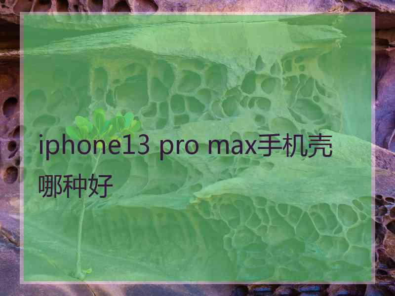 iphone13 pro max手机壳哪种好