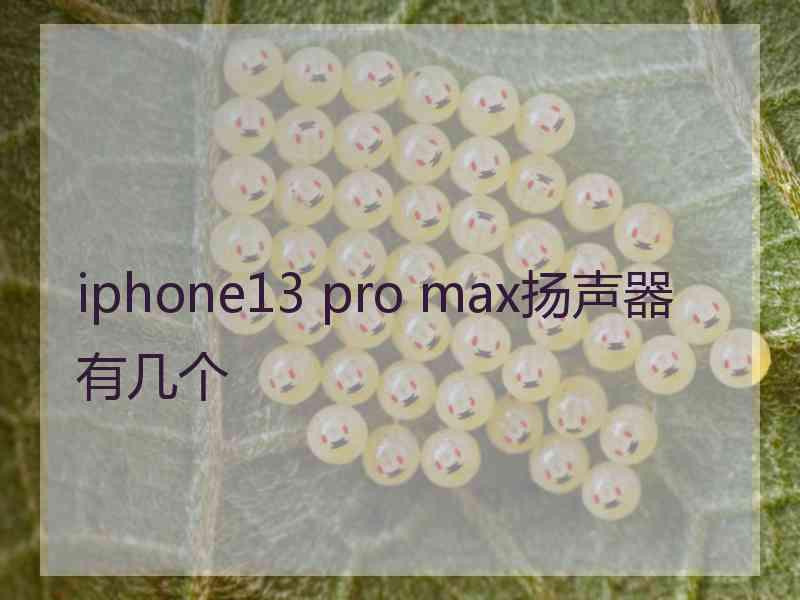 iphone13 pro max扬声器有几个