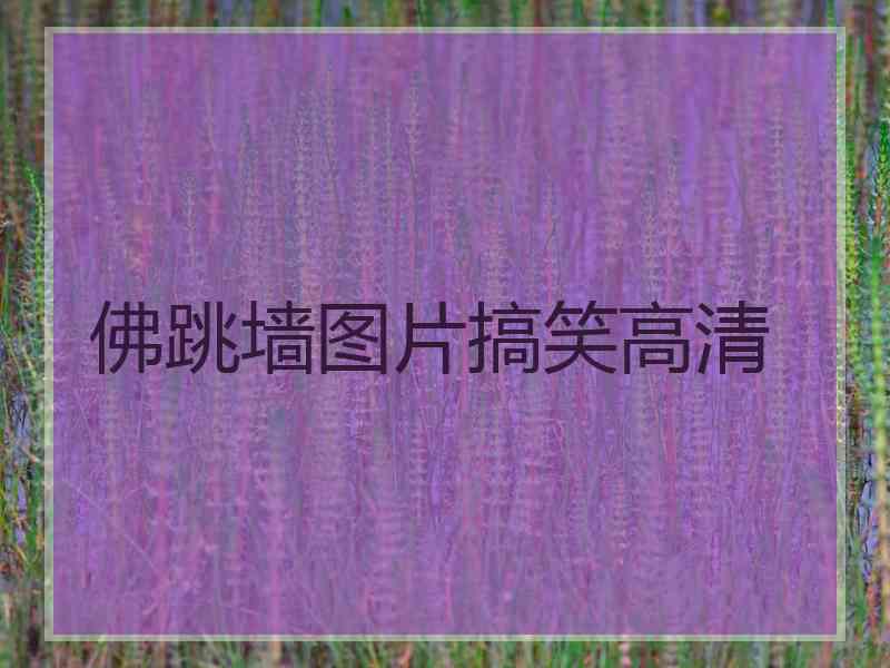 佛跳墙图片搞笑高清
