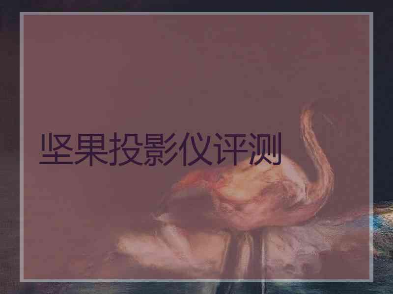 坚果投影仪评测