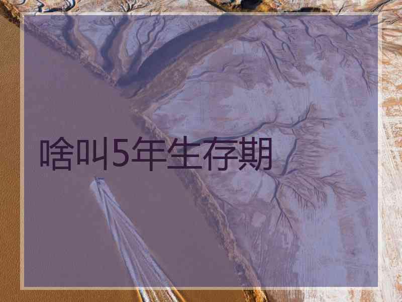 啥叫5年生存期