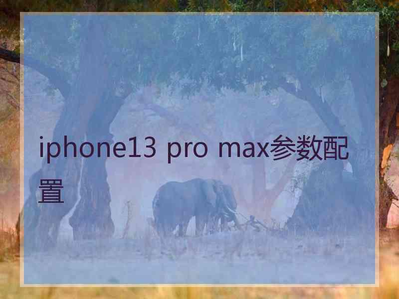 iphone13 pro max参数配置